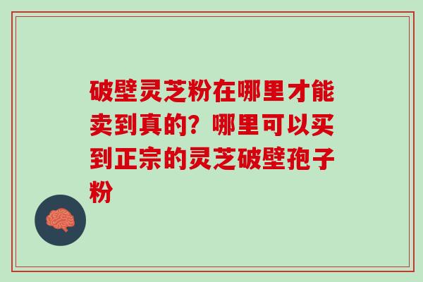 破壁灵芝粉在哪里才能卖到真的?哪里可以买到正宗的灵芝破壁孢子粉 破壁灵芝粉在哪里才能卖到真的?哪里可以买到正宗的灵芝破壁孢子粉
