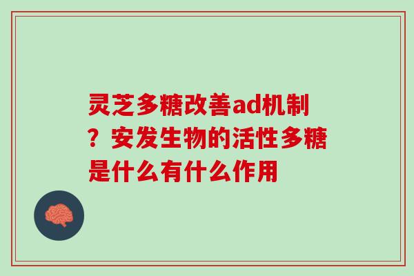 灵芝多糖改善ad机制？安发生物的活性多糖是什么有什么作用