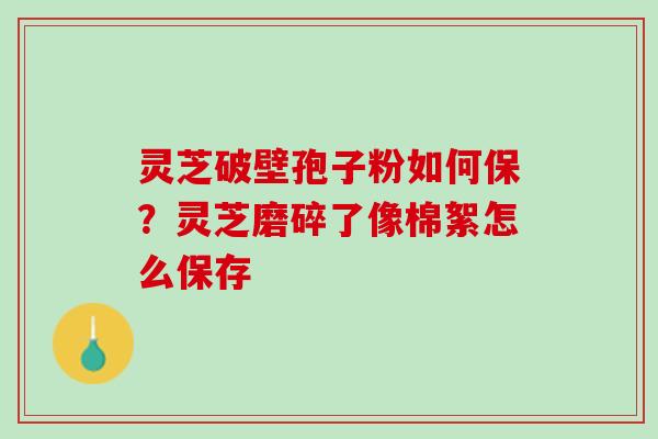 灵芝破壁孢子粉如何保？灵芝磨碎了像棉絮怎么保存