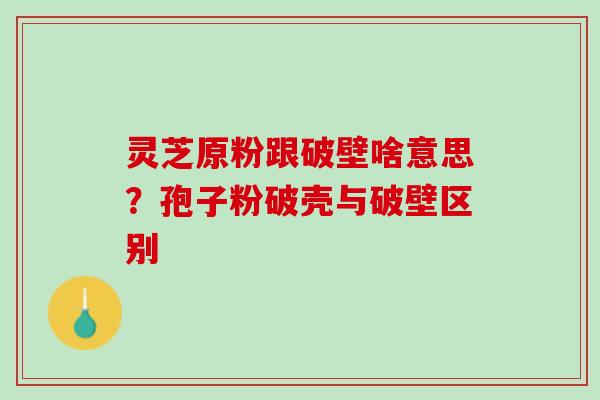 灵芝原粉跟破壁啥意思?孢子粉破壳与破壁区别 灵芝原粉跟破壁啥意思?孢子粉破壳与破壁区别