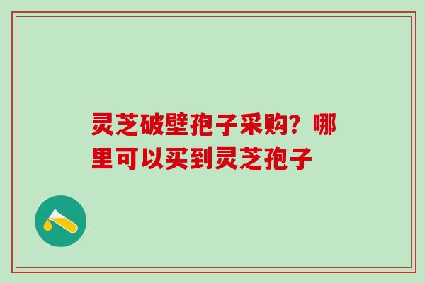 灵芝破壁孢子采购？哪里可以买到灵芝孢子