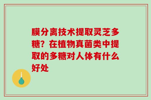 膜分离技术提取灵芝多糖？在植物真菌类中提取的多糖对人体有什么好处