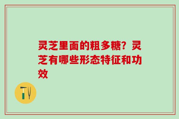 灵芝里面的粗多糖？灵芝有哪些形态特征和功效