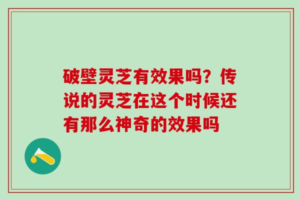 破壁灵芝有效果吗？传说的灵芝在这个时候还有那么神奇的效果吗