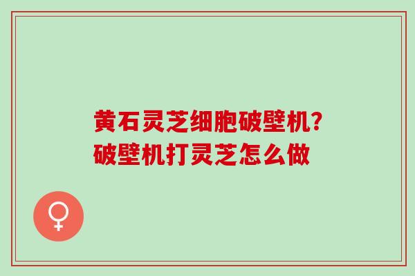 黄石灵芝细胞破壁机？破壁机打灵芝怎么做