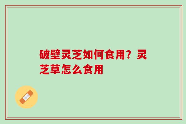 破壁灵芝如何食用？灵芝草怎么食用