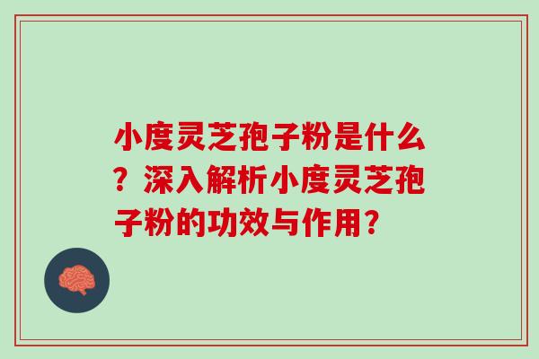 小度灵芝孢子粉是什么？深入解析小度灵芝孢子粉的功效与作用？