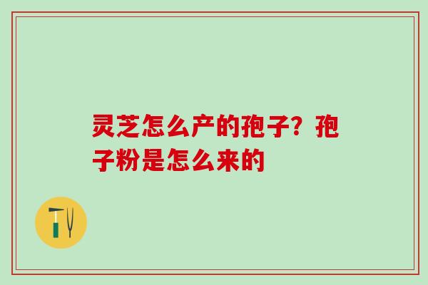 灵芝怎么产的孢子？孢子粉是怎么来的