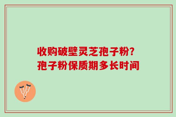 收购破壁灵芝孢子粉？孢子粉保质期多长时间