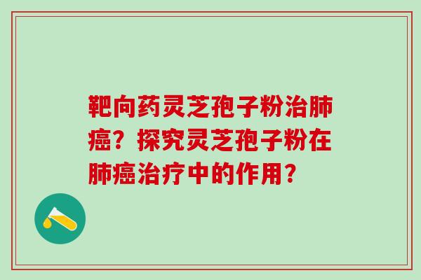靶向药灵芝孢子粉?探究灵芝孢子粉在中的作用? 靶向药灵芝孢子粉?探究灵芝孢子粉在中的作用?