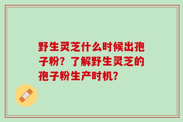 野生灵芝什么时候出孢子粉?了解野生灵芝的孢子粉生产时机? 野生灵芝什么时候出孢子粉?了解野生灵芝的孢子粉生产时机?