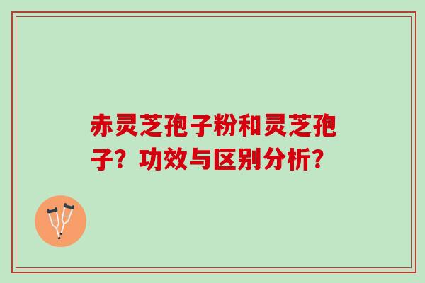 赤灵芝孢子粉和灵芝孢子?功效与区别分析? 赤灵芝孢子粉和灵芝孢子?功效与区别分析?