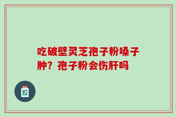 吃破壁灵芝孢子粉嗓子肿？孢子粉会伤吗