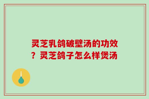 灵芝乳鸽破壁汤的功效？灵芝鸽子怎么样煲汤