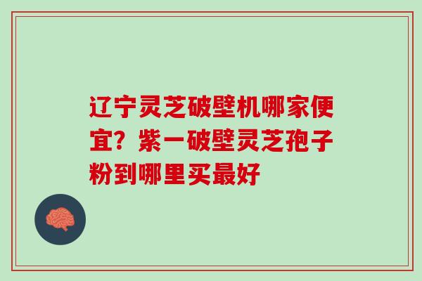 辽宁灵芝破壁机哪家便宜？紫一破壁灵芝孢子粉到哪里买最好