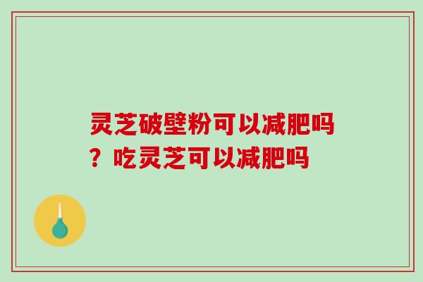 灵芝破壁粉可以吗?吃灵芝可以吗 灵芝破壁粉可以吗?吃灵芝可以吗
