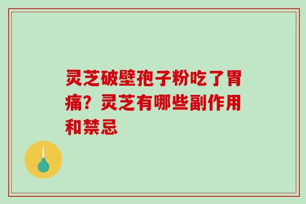 灵芝破壁孢子粉吃了胃痛？灵芝有哪些副作用和禁忌