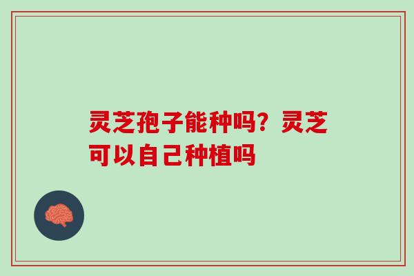 灵芝孢子能种吗?灵芝可以自己种植吗 灵芝孢子能种吗?灵芝可以自己种植吗