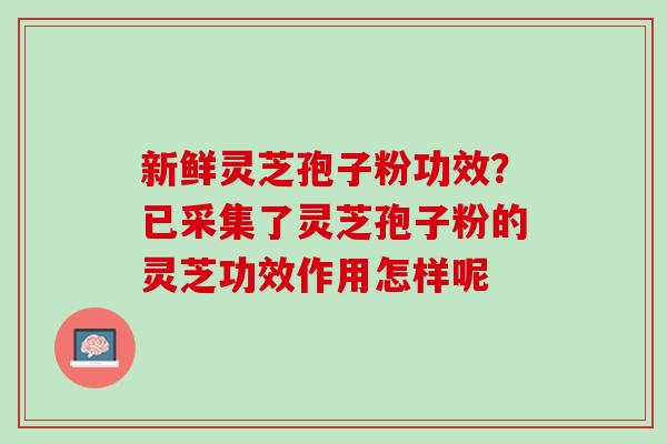 新鲜灵芝孢子粉功效？已采集了灵芝孢子粉的灵芝功效作用怎样呢
