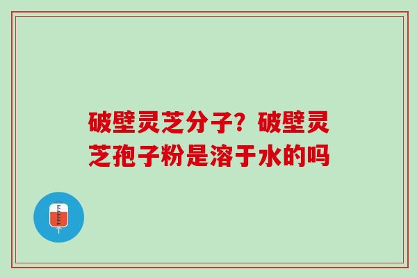 破壁灵芝分子？破壁灵芝孢子粉是溶于水的吗