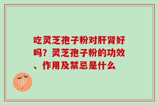吃灵芝孢子粉对肝肾好吗？灵芝孢子粉的功效、作用及禁忌是什么