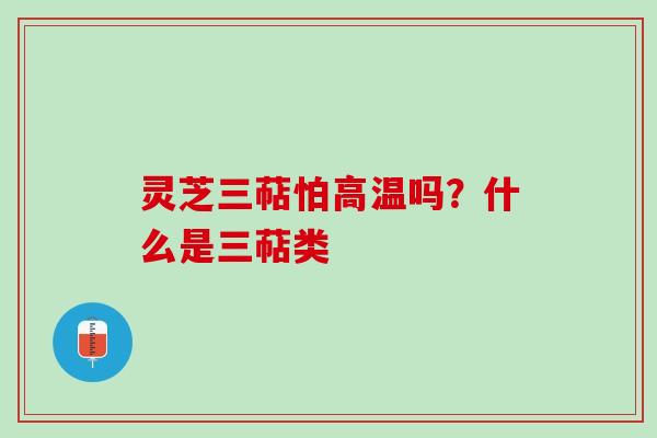灵芝三萜怕高温吗？什么是三萜类