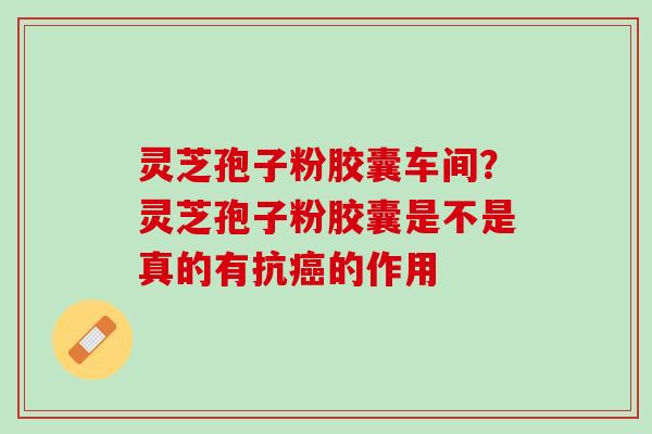 灵芝孢子粉胶囊车间？灵芝孢子粉胶囊是不是真的有抗癌的作用