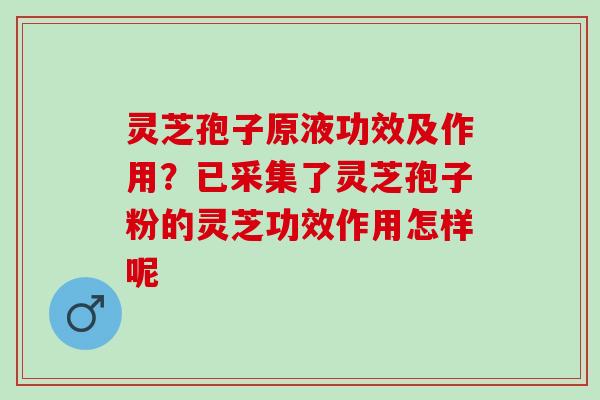 灵芝孢子原液功效及作用？已采集了灵芝孢子粉的灵芝功效作用怎样呢