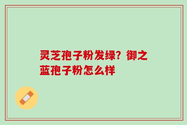 灵芝孢子粉发绿？御之蓝孢子粉怎么样