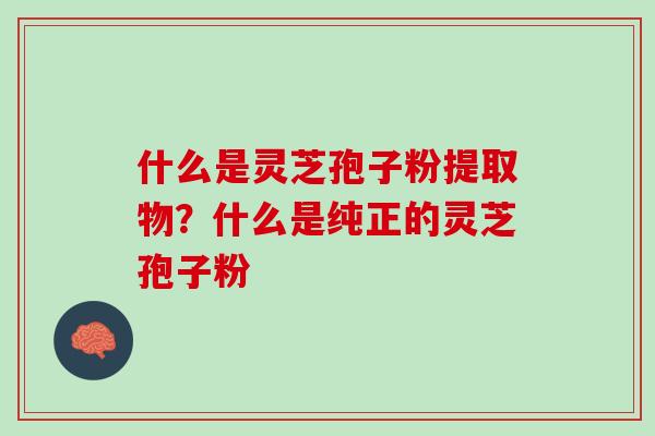 什么是灵芝孢子粉提取物？什么是纯正的灵芝孢子粉