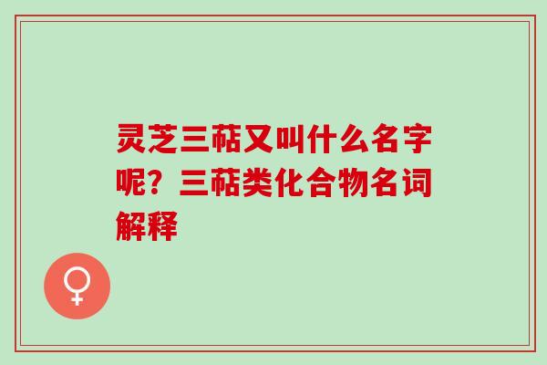 灵芝三萜又叫什么名字呢？三萜类化合物名词解释