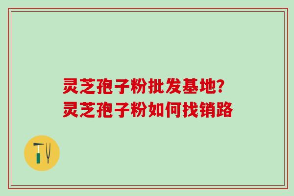 灵芝孢子粉批发基地？灵芝孢子粉如何找销路