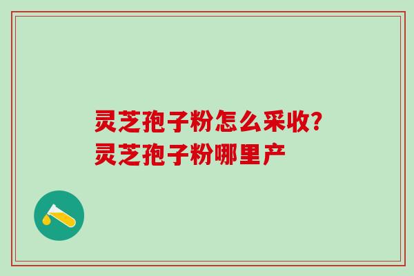 灵芝孢子粉怎么采收？灵芝孢子粉哪里产