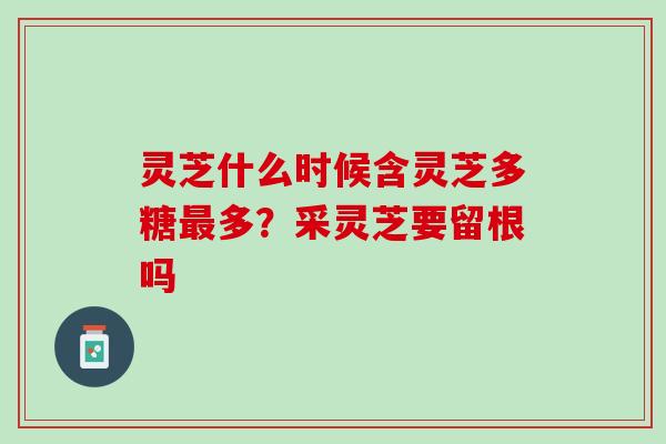 灵芝什么时候含灵芝多糖最多？采灵芝要留根吗