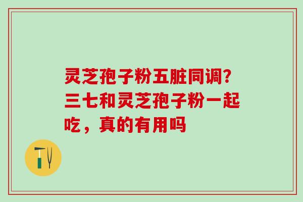 灵芝孢子粉五脏同调？三七和灵芝孢子粉一起吃，真的有用吗