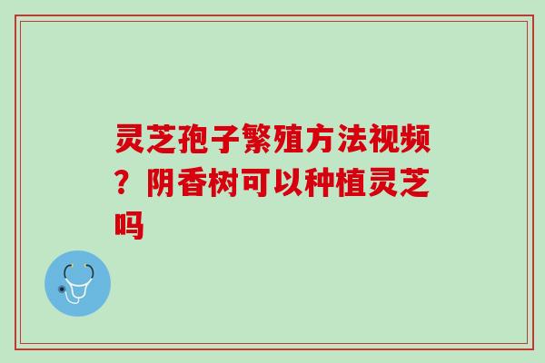 灵芝孢子繁殖方法视频？阴香树可以种植灵芝吗