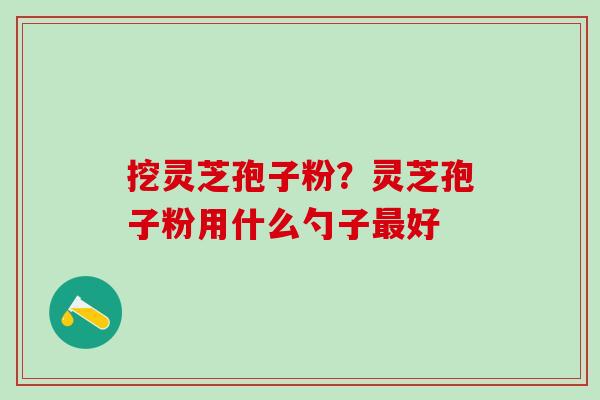 挖灵芝孢子粉？灵芝孢子粉用什么勺子最好