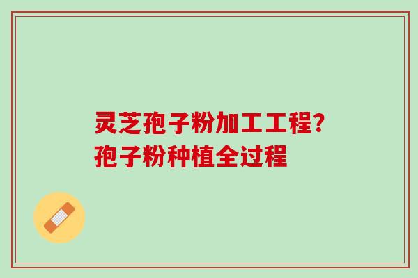 灵芝孢子粉加工工程?孢子粉种植全过程 灵芝孢子粉加工工程?孢子粉种植全过程