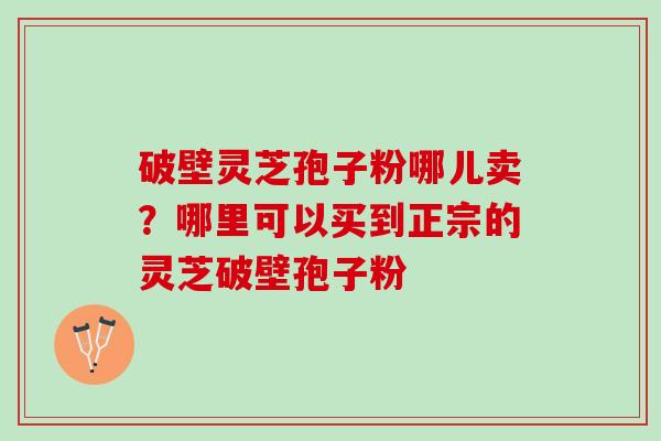 破壁灵芝孢子粉哪儿卖？哪里可以买到正宗的灵芝破壁孢子粉