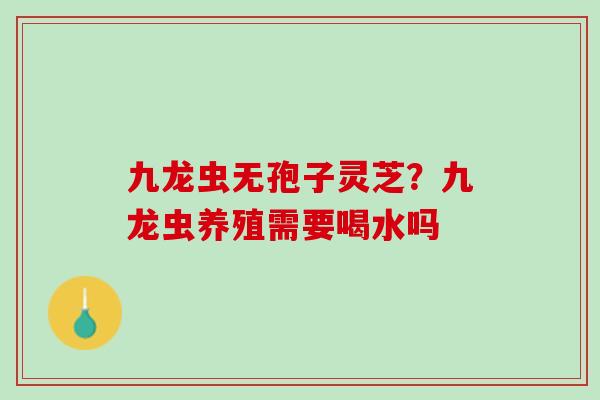 九龙虫无孢子灵芝？九龙虫养殖需要喝水吗