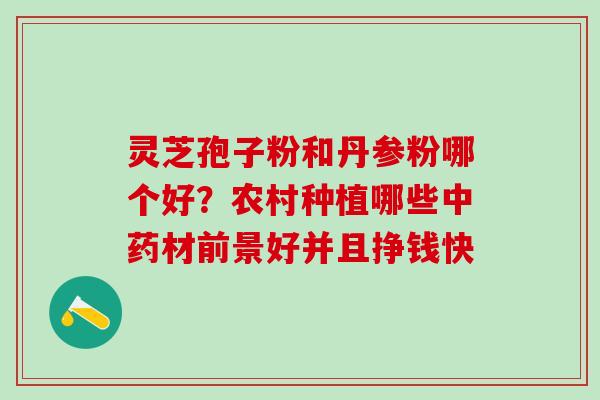 灵芝孢子粉和丹参粉哪个好？农村种植哪些中药材前景好并且挣钱快