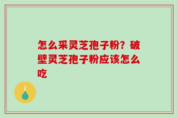 怎么采灵芝孢子粉?破壁灵芝孢子粉应该怎么吃 怎么采灵芝孢子粉?破壁灵芝孢子粉应该怎么吃