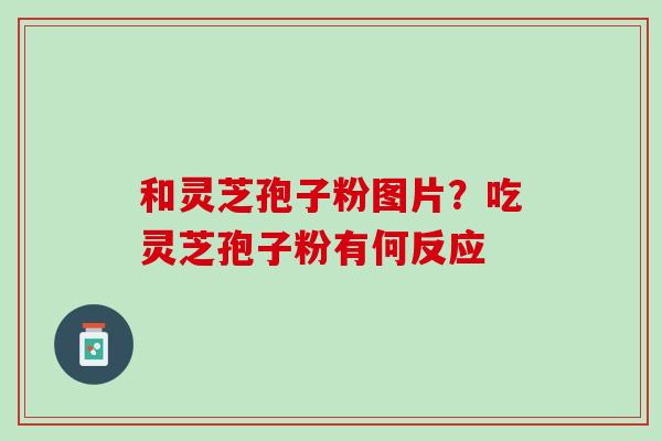 和灵芝孢子粉图片？吃灵芝孢子粉有何反应