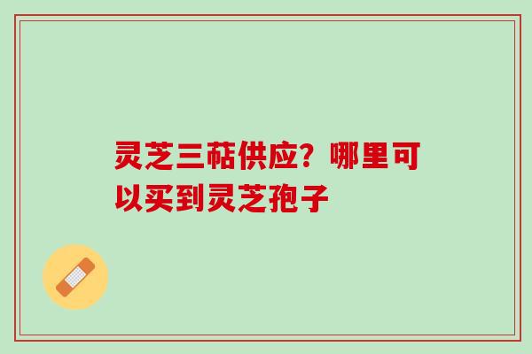 灵芝三萜供应？哪里可以买到灵芝孢子