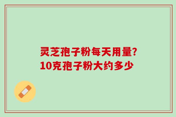 灵芝孢子粉每天用量？10克孢子粉大约多少