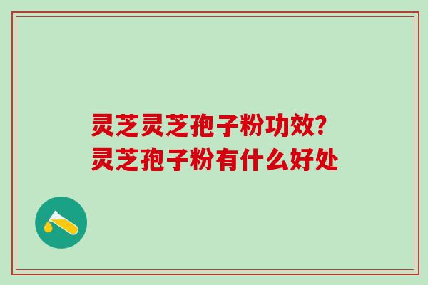 灵芝灵芝孢子粉功效？灵芝孢子粉有什么好处
