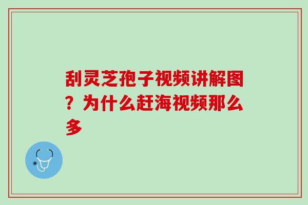 刮灵芝孢子视频讲解图？为什么赶海视频那么多