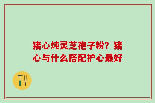 猪心炖灵芝孢子粉？猪心与什么搭配护心最好
