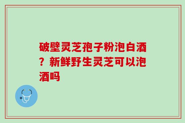 破壁灵芝孢子粉泡白酒？新鲜野生灵芝可以泡酒吗