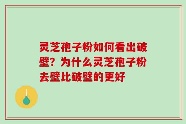 灵芝孢子粉如何看出破壁?为什么灵芝孢子粉去壁比破壁的更好 灵芝孢子粉如何看出破壁?为什么灵芝孢子粉去壁比破壁的更好